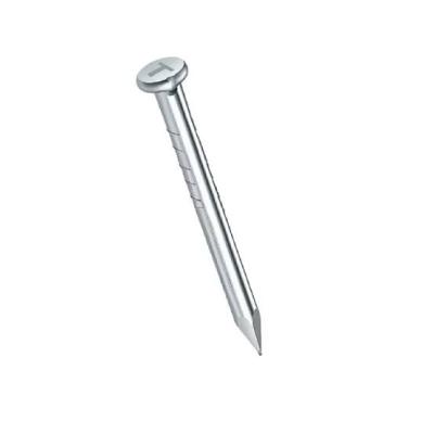 TATA Concrete Nails Loose Per Piece
