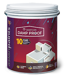 Asian Paints Dampproof White